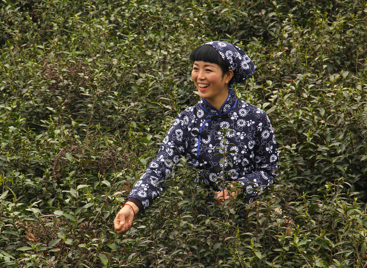 84间房主播跳舞 霓虹低语
